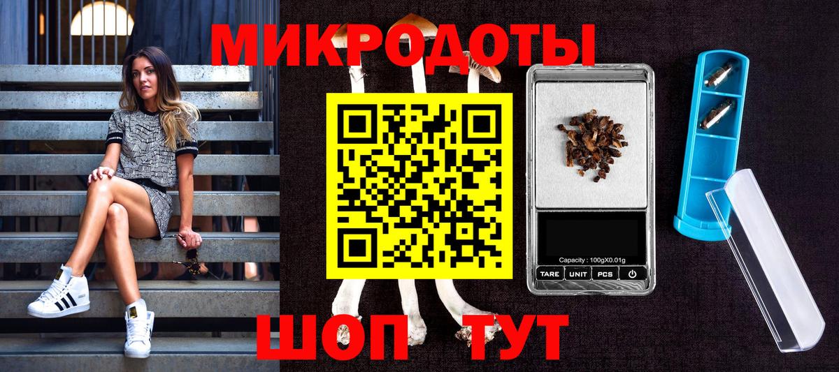 Псилоцибиновые грибы Psilocybine cubensis Верхняя Пышма