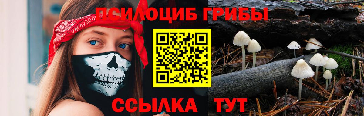 А ПВП Верхняя Пышма