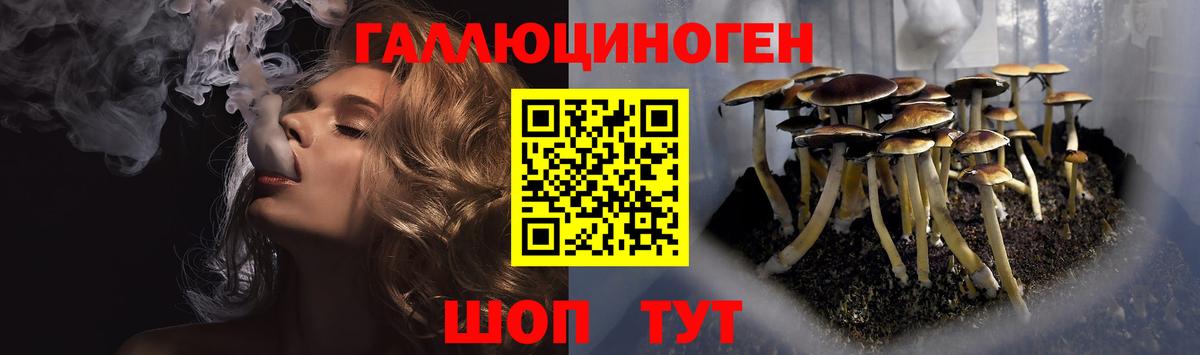 Верхняя Пышма  Галлюциногенные грибы ЛСД  Псилоцибиновые грибы MAGIC MUSHROOMS  Вход с VPN 